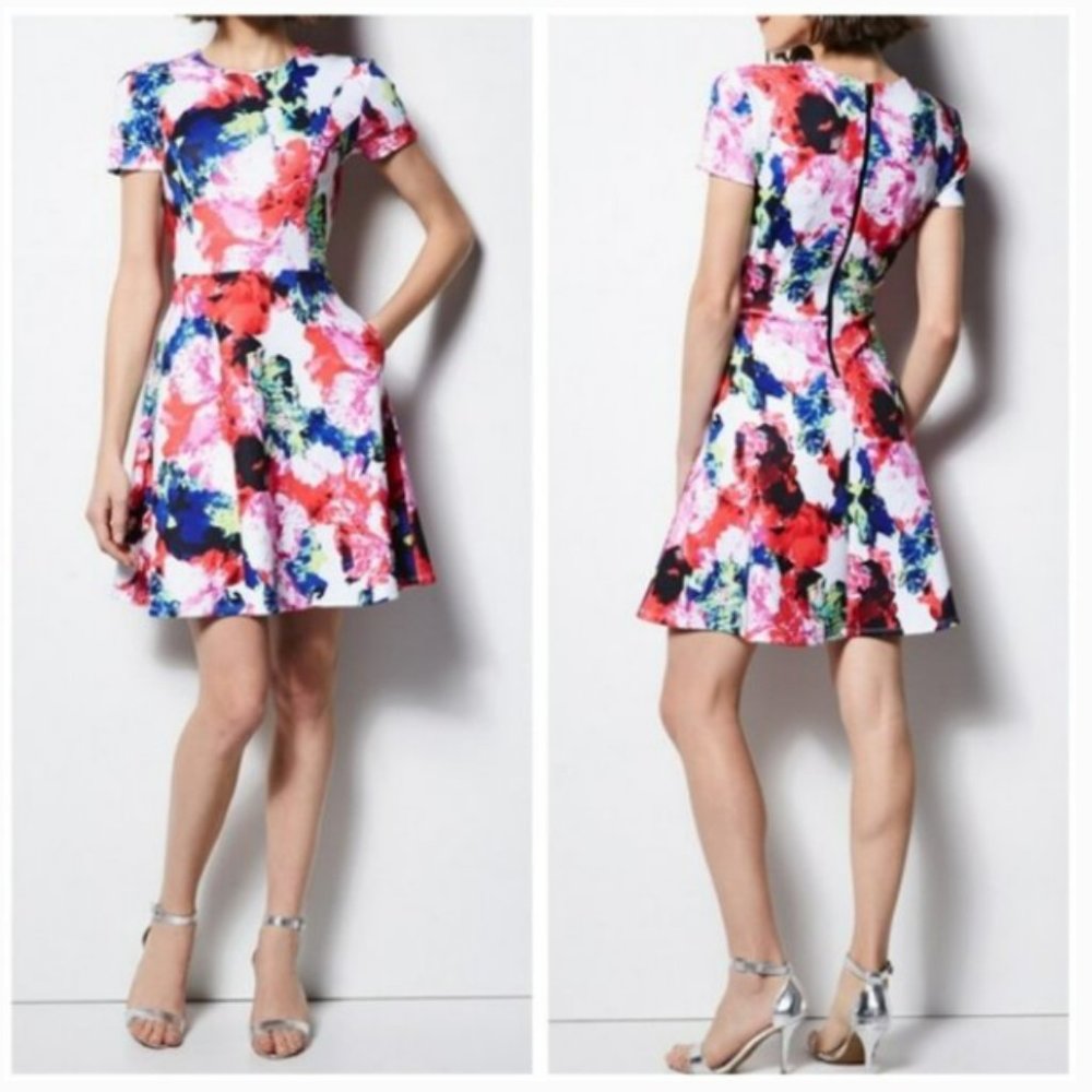 MILLY for DesigNation Floral Fit & Flare Scuba Pattern Color Dress Plus Size 4